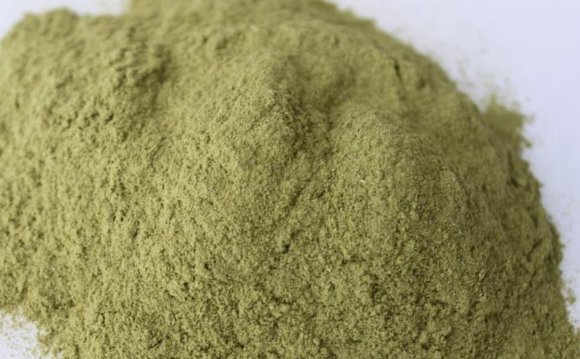 Can Olive Leaf Extract Help