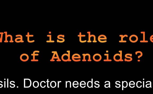What is the role of Adenoids