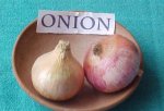 Ayurvedic Natural Health Centre Pvt. Ltd. onion.