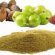 Ayurveda body type diet
