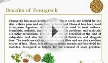 Benefits of Fenugreek/ Methi