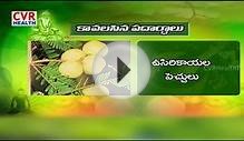 How to treat Psoriasis in Ayurveda - Aarogyam Ayurvedam