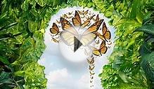 Mind – Qualities And Functions As Per Ayurveda