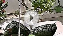Santhigiri Ashram:Kerala