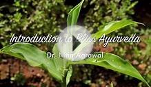 Introduction to Bliss Ayurveda